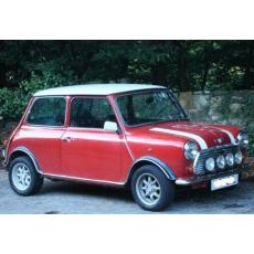Classic Mini Arches Group 2 High Quality With Lip In Fibre Glass Lip