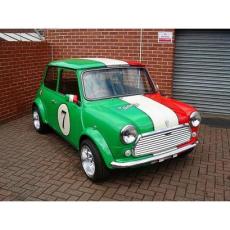 Classic Mini Arches Sports Pack Copy *Abs Plastic Like Orginal Rover*